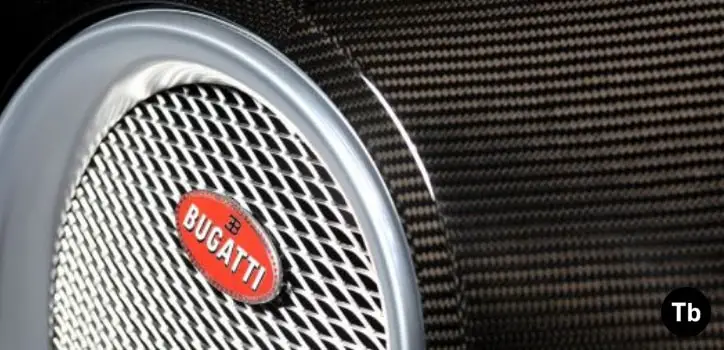 Bugatti Veyron Titanium horseshoe grille -Throttlebias