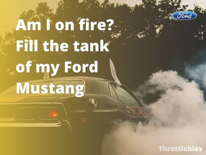 old mustang quotes