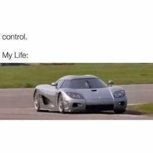 Car control meme