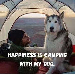 Happiness is camping with my dog