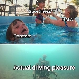 BMW Driving Meme