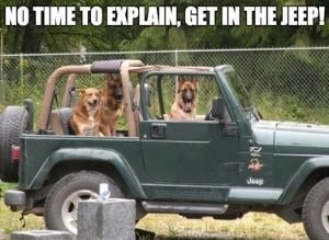 Dog Jeep Meme