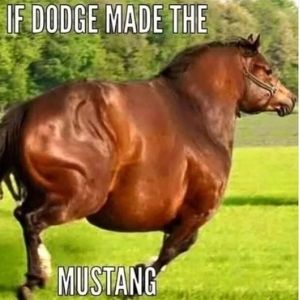 Fat Mustang Meme