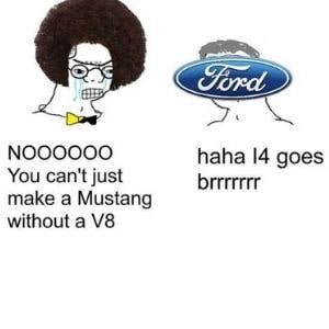 Ford Funny MEME