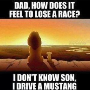 Mustang Race Meme