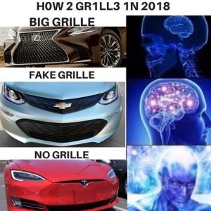 Tesla grill