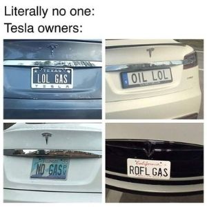 Tesla insult meme