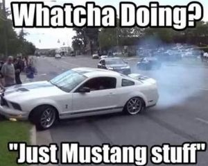 White Mustang crash meme