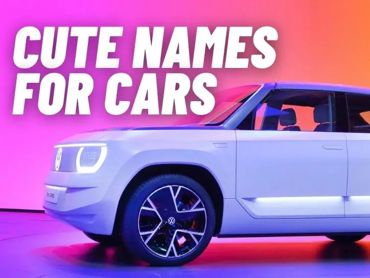 Cute Car Names