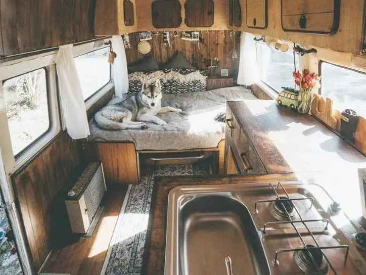 Boho campervan with rugs & a dog