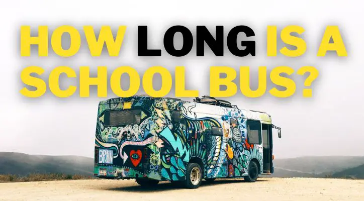 How Long Is A School Bus In Different Metrics? (+ Examples)